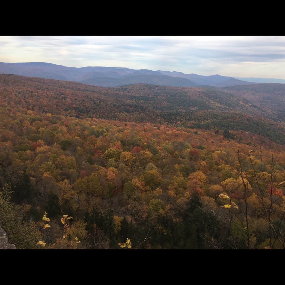 Meet your Posher, Yudelka